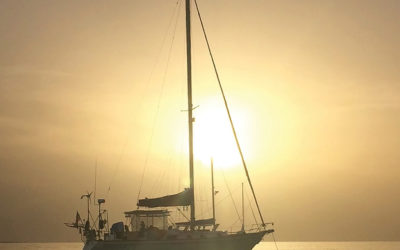 Salt Marsh Diaries — August 2019