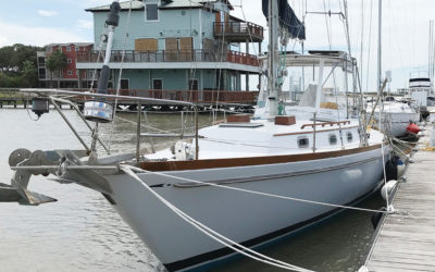 Salt Marsh Diary — October 2019