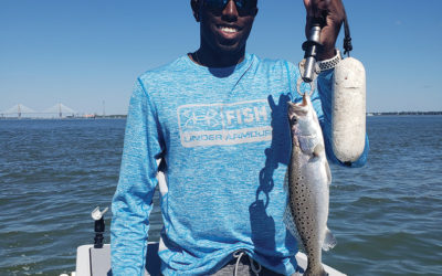 Folly Fishing Report — November 2019
