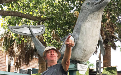 Salt Marsh Diaries — November 2019