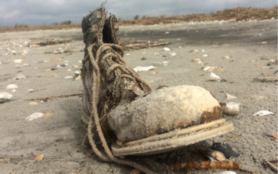 Salt Marsh Diaries — August 2021