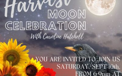 Folly’s Bead Weaver