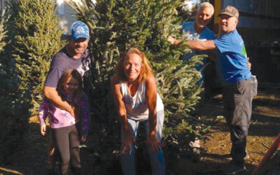Oh, Christmas Tree (Farm)
