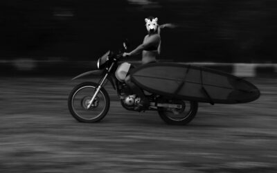 All Good in the Follyhood