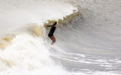 Folly Field Notes — Ocean Rhythms & Local Swells