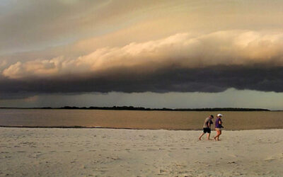 Folly Field Notes — Happy and Safe Storm Watching