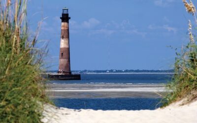 Shining a Light on the Future