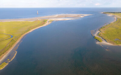 Folly Field Notes — What is an Estuary?