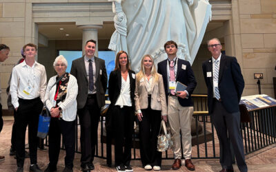 Folly Goes to Washington
